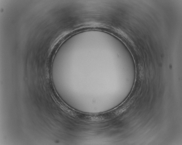 X0000071771318200607211522