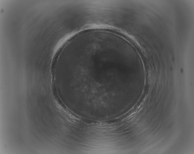 X0000071771319200607211522