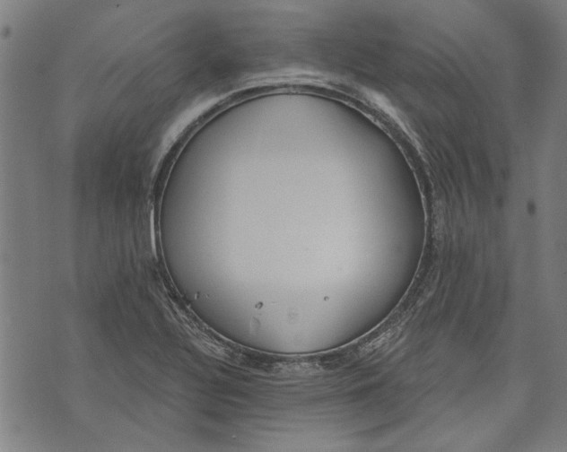 X0000071771320200607211522