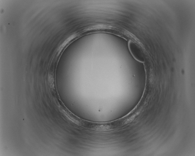 X0000071771321200607211522