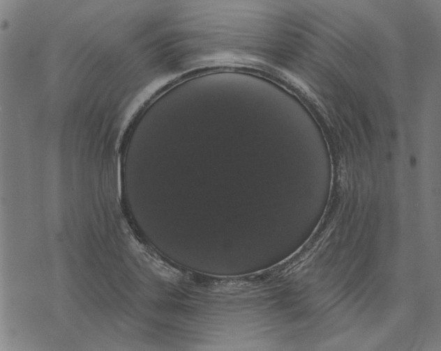 X0000071771323200607211522