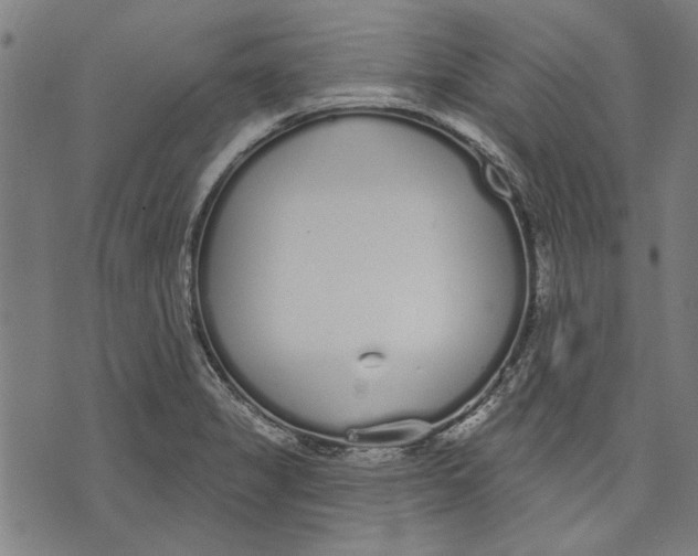 X0000071771325200607211522