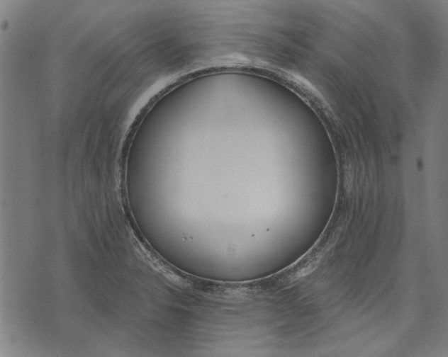 X0000071771326200607211522