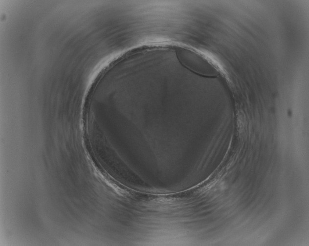 X0000071771327200607211522