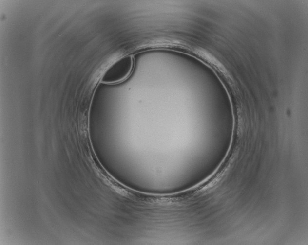 X0000071771329200607211522