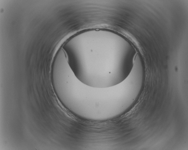 X0000071771332200607211522