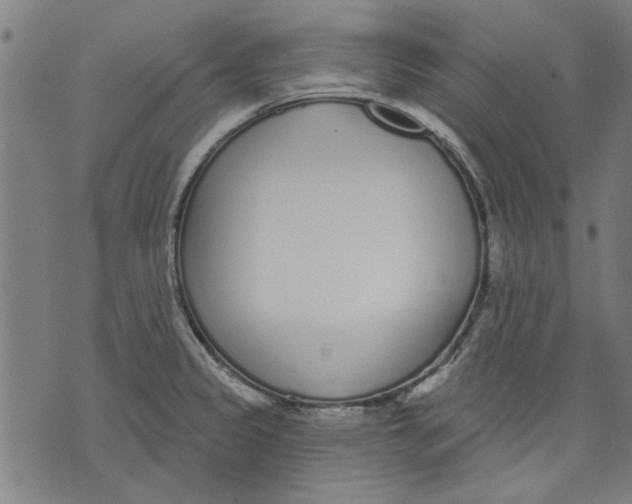 X0000071771333200607211522