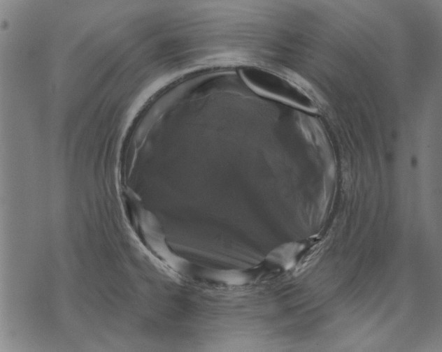 X0000071771334200607211522