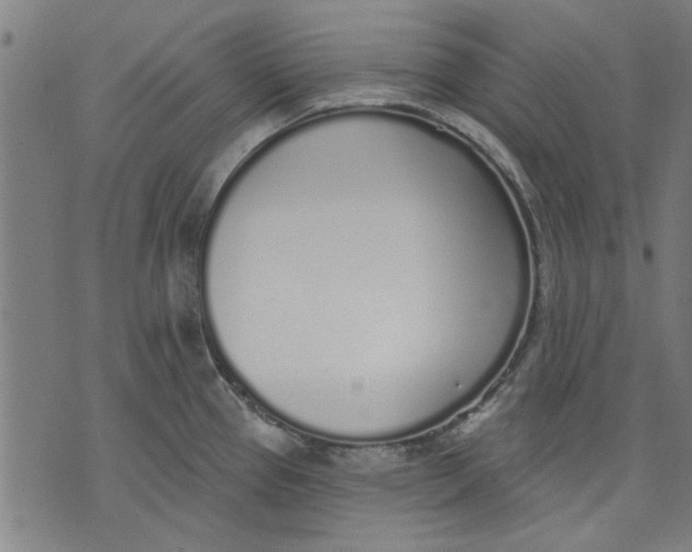 X0000071771337200607211522