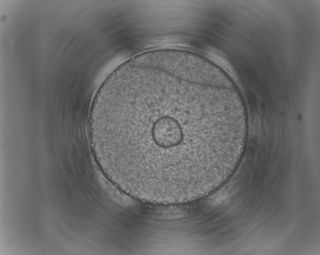 X0000071771338200607211522