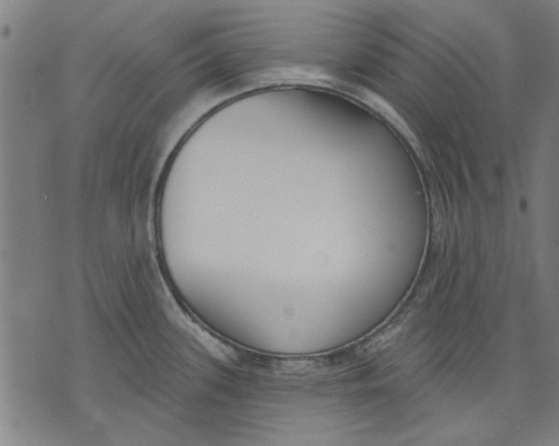 X0000071771339200607211522