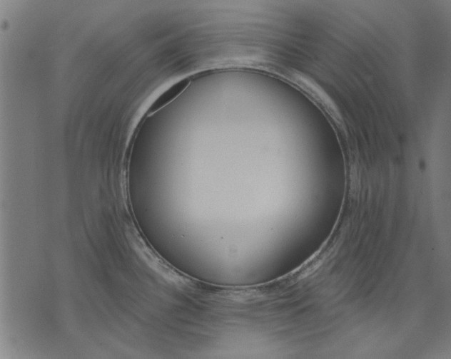 X0000071771340200607211522