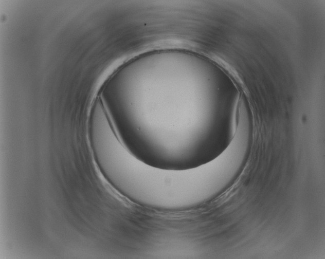 X0000071771342200607211522