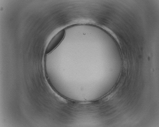 X0000071771343200607211522