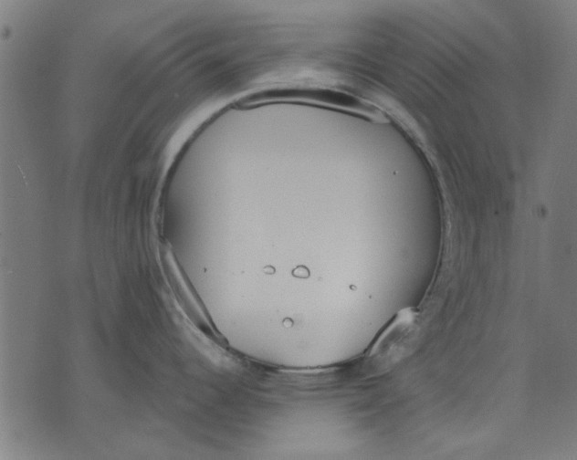 X0000071771344200607211522