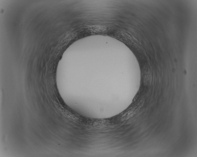 X0000071771345200607211522