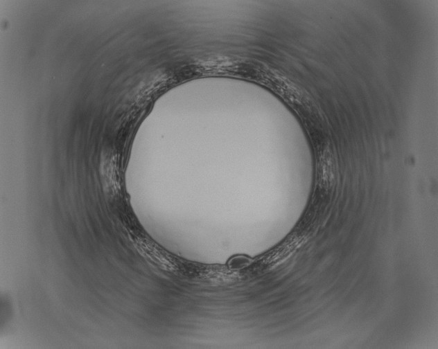 X0000071771346200607211521