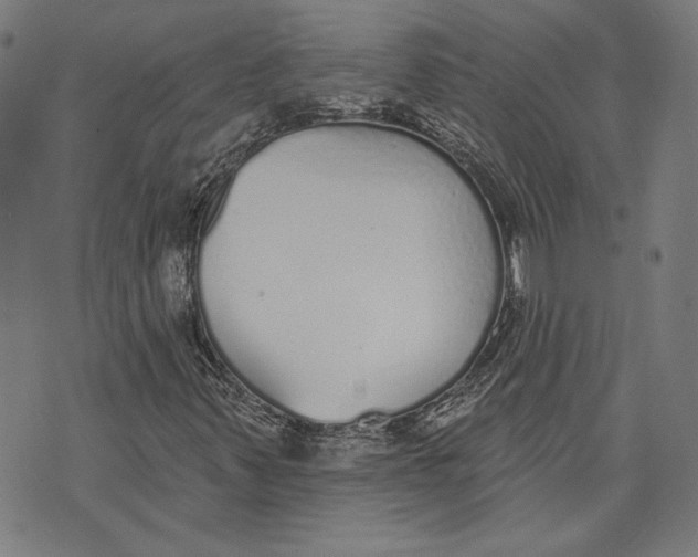 X0000071771347200607211521