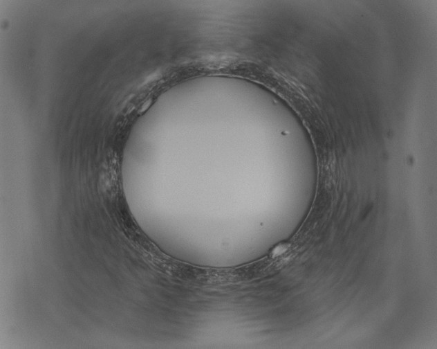 X0000071771349200607211521