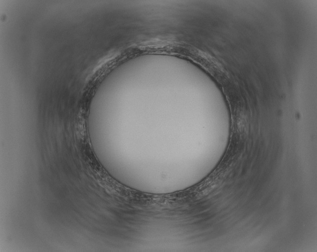 X0000071771350200607211521