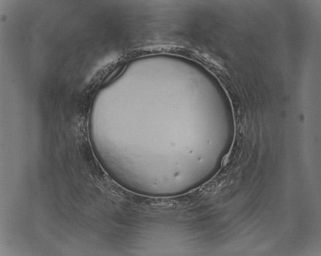 X0000071771351200607211521