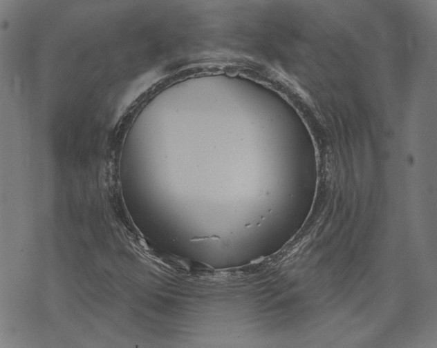 X0000071771352200607211521