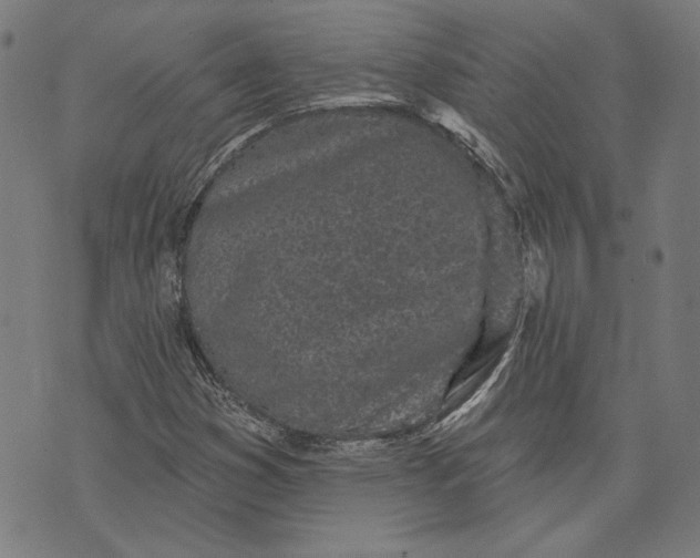 X0000071771353200607211521