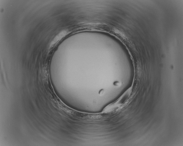 X0000071771354200607211521