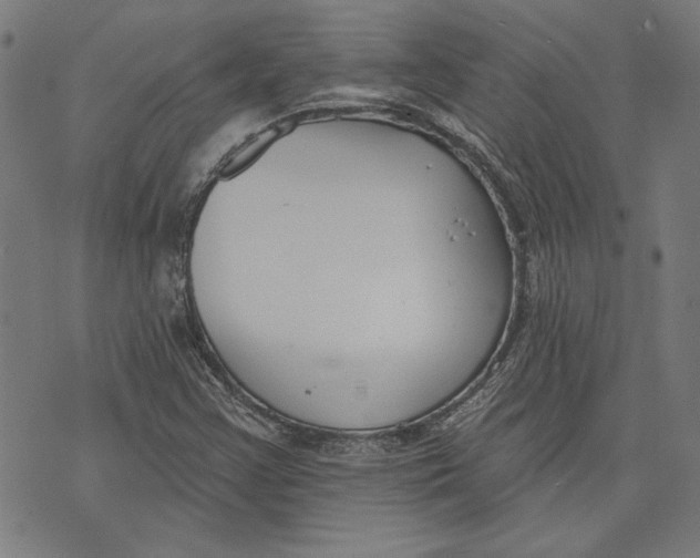 X0000071771355200607211521