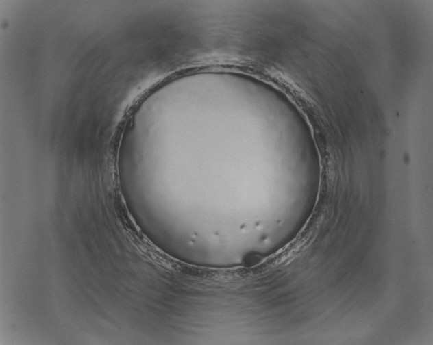 X0000071771358200607211521