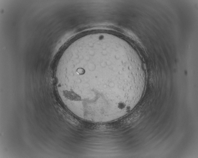 X0000071771360200607211521