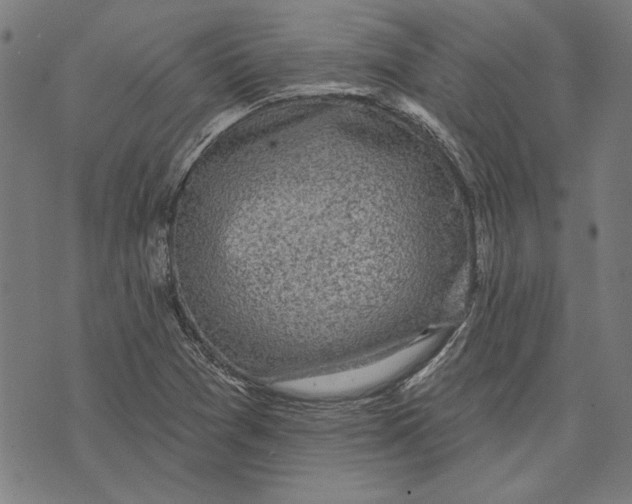 X0000071771361200607211521