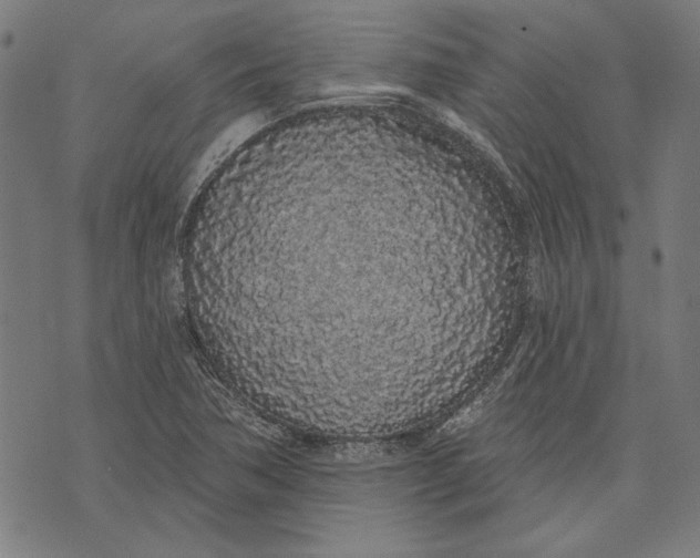 X0000071771362200607211521