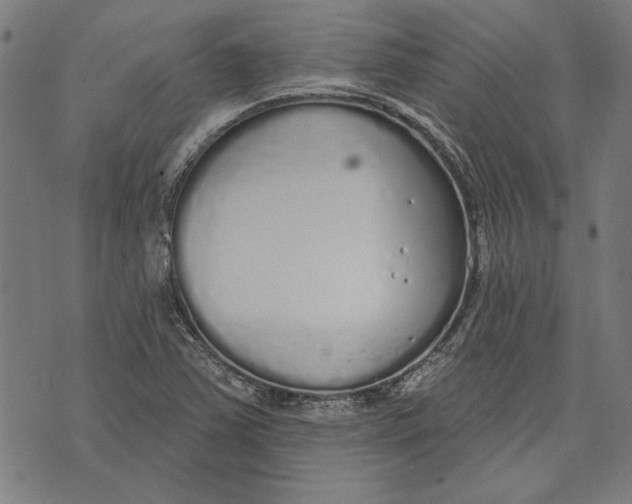 X0000071771363200607211521