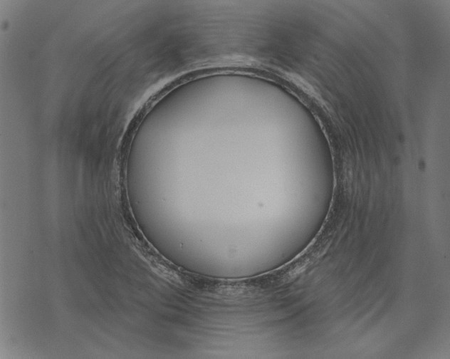 X0000071771364200607211521