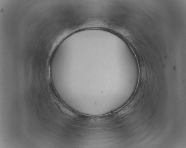 X0000071771366200607211521