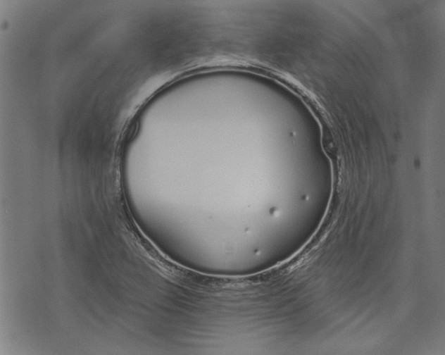 X0000071771367200607211521