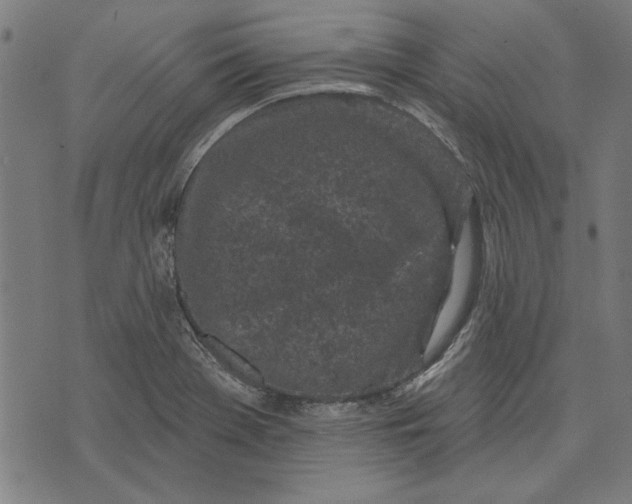 X0000071771369200607211521