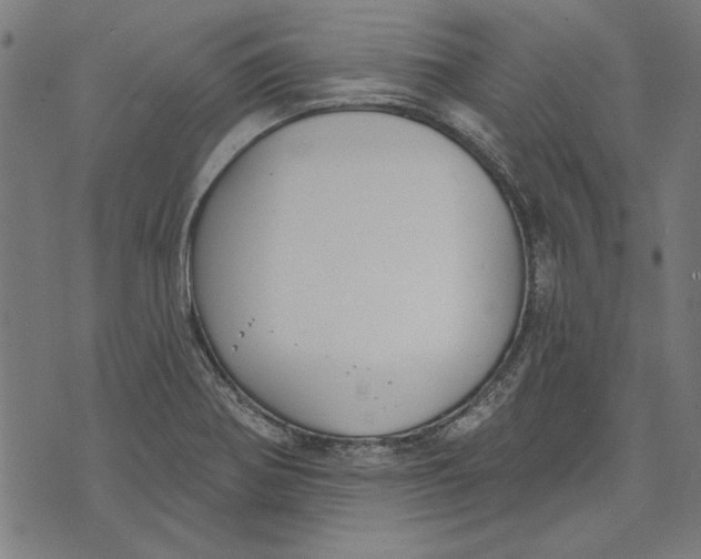 X0000071771370200607211521