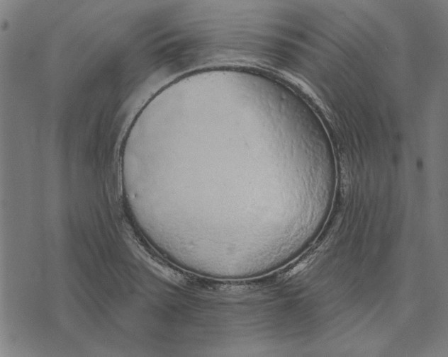 X0000071771371200607211521