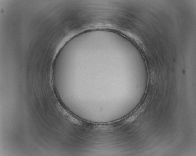 X0000071771374200607211521