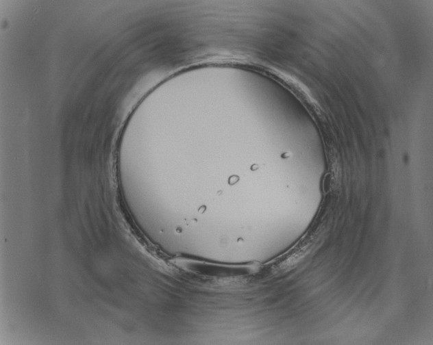 X0000071771375200607211521