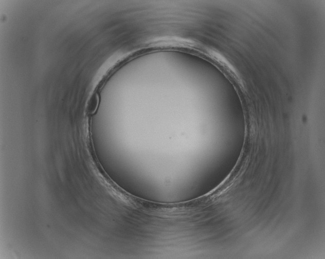 X0000071771376200607211521