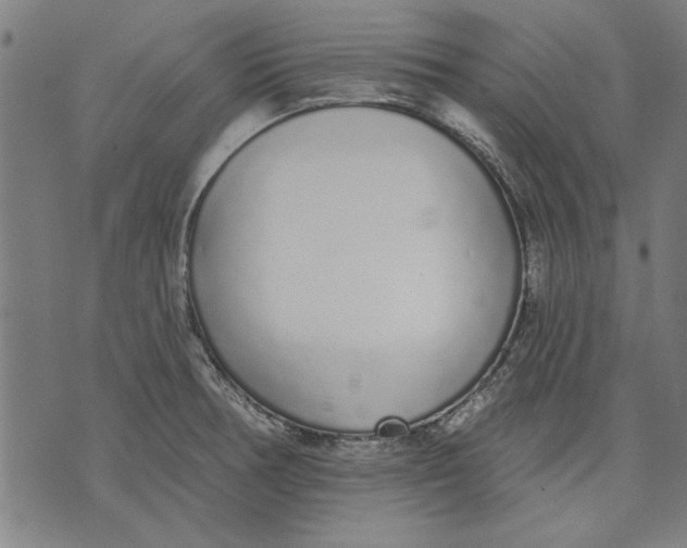 X0000071771378200607211521