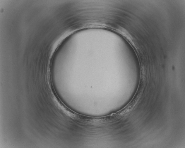 X0000071771379200607211521