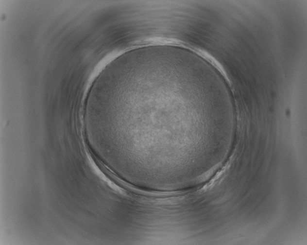 X0000071771381200607211521