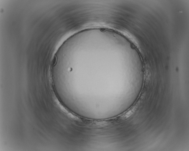 X0000071771382200607211521