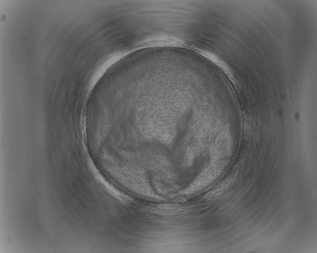 X0000071771383200607211521