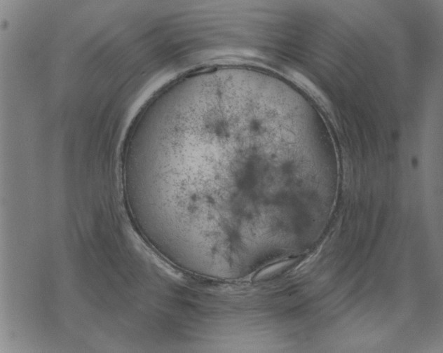 X0000071771384200607211521