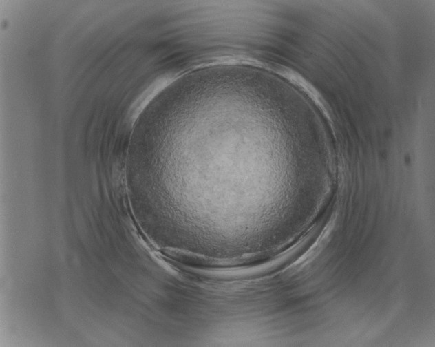 X0000071771385200607211521